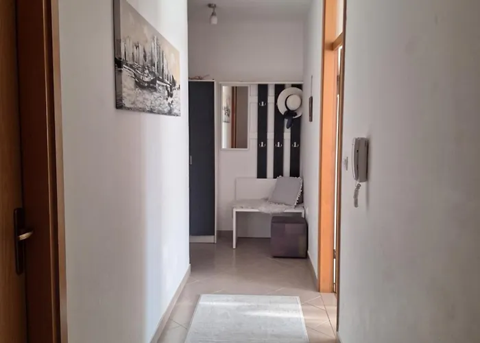 Seaview Vice * טרוגיר