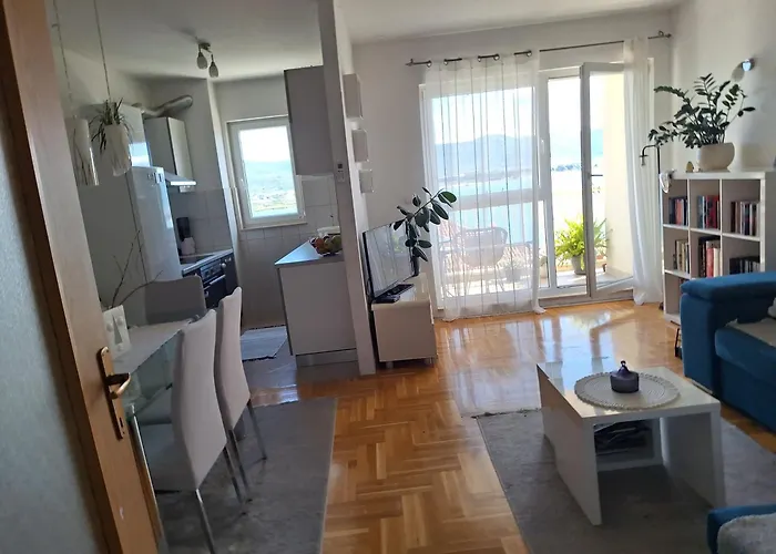 Seaview Vice טרוגיר