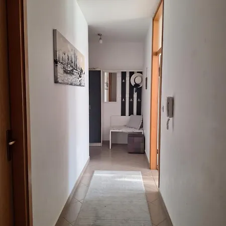 Seaview Vice * 트로기르