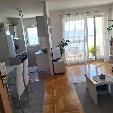 Seaview Vice 特罗吉尔